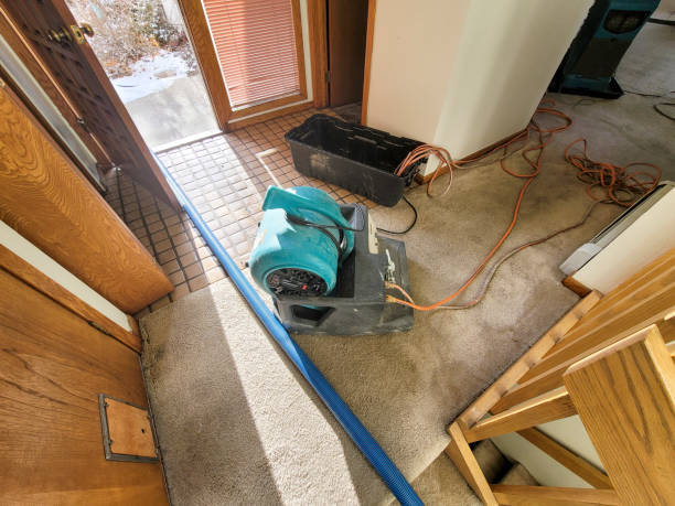 Best Emergency water extraction  in Cliffside Park, NJ