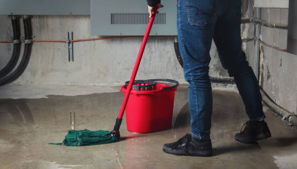 Best Water damage mitigation services  in Cliffside Park, NJ