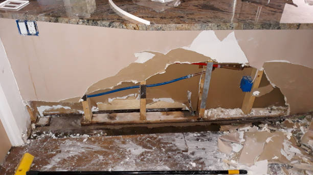 Best Professional water damage repair  in Cliffside Park, NJ