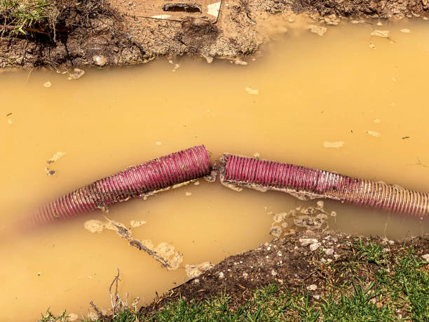 Best Water damage cleanup near me  in Cliffside Park, NJ